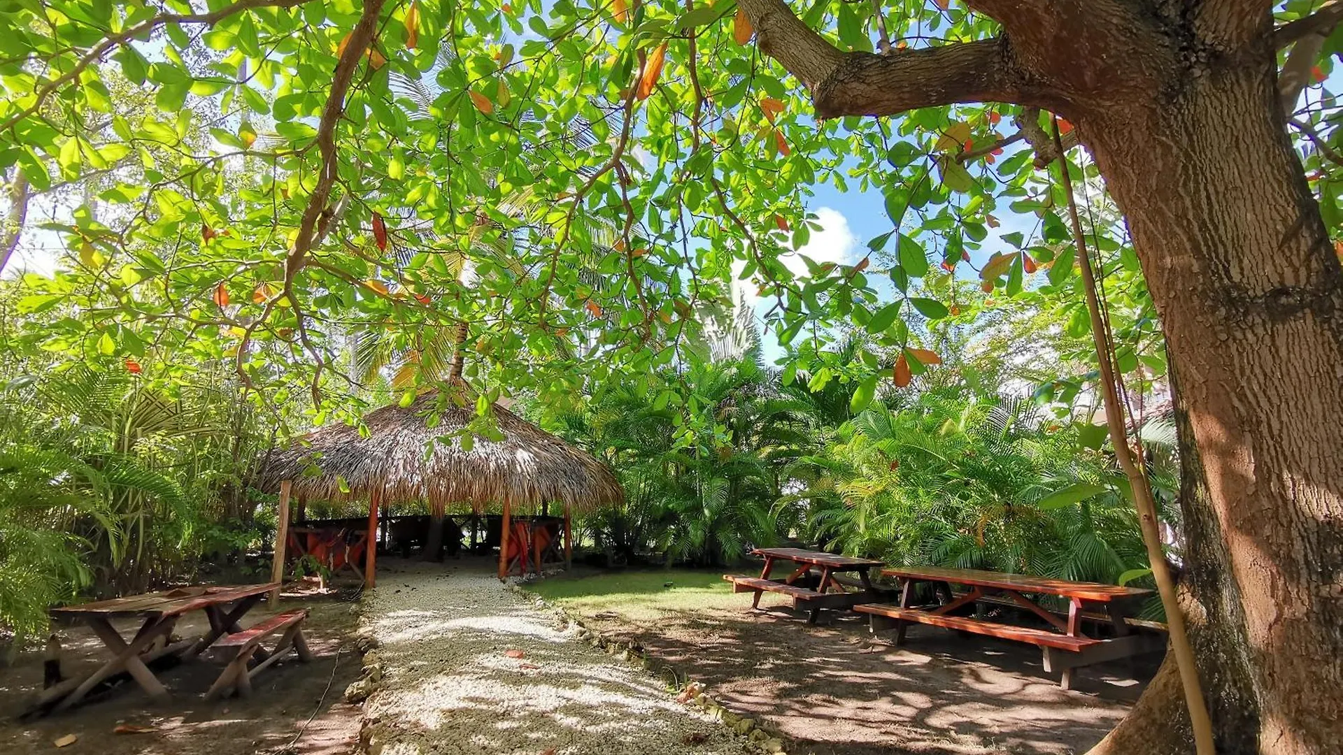 Tropical Village Playa Los Corales Punta Cana 5*,