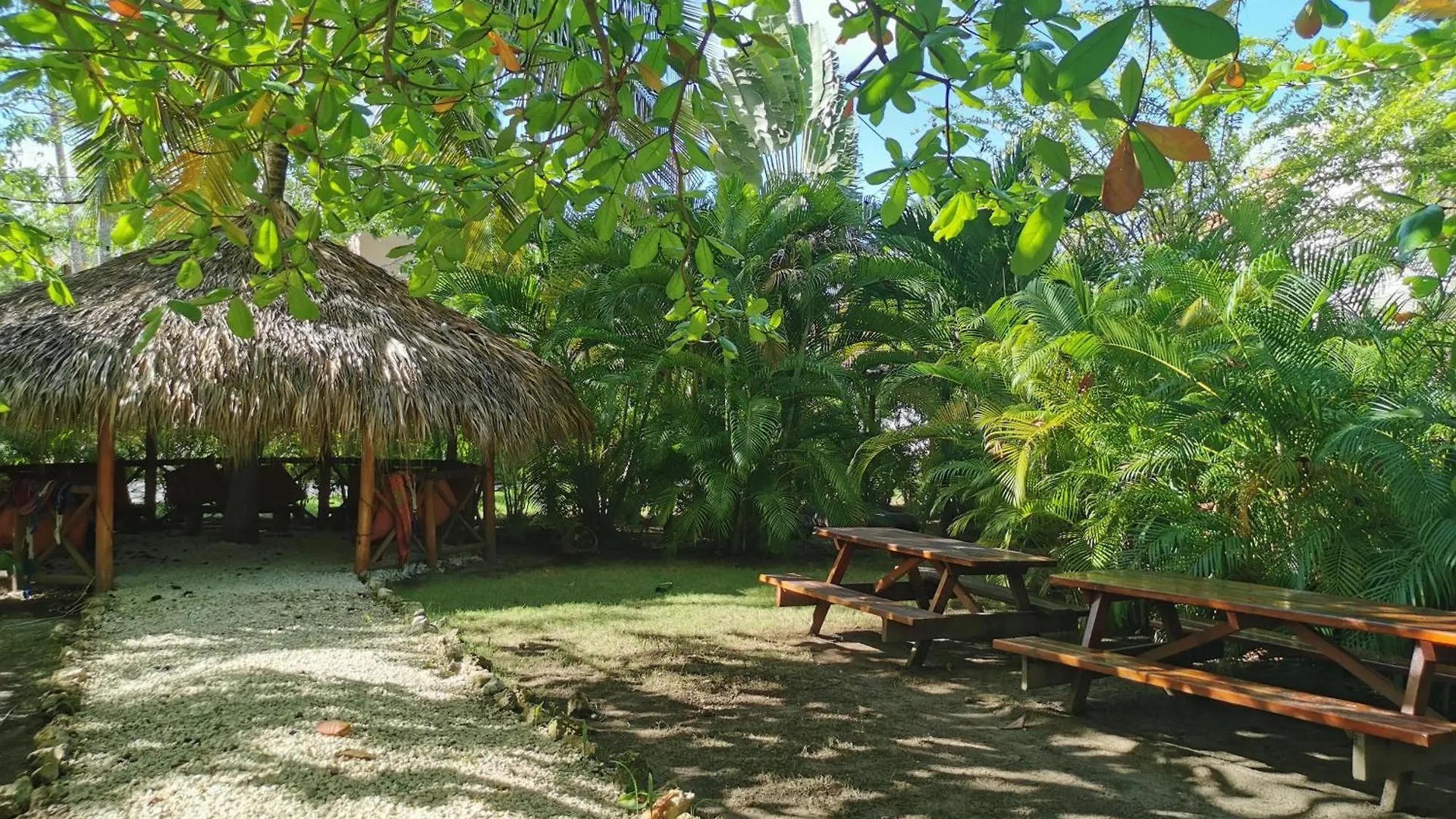 Tropical Village Playa Los Corales Punta Cana Dominican Republic